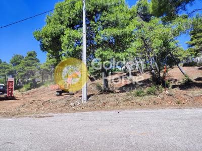 Οικόπεδο στην Αγία Τριάδα, Αφίδνες — Φωτογραφία 2 από 13