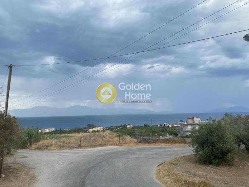 Μονοκατοικία στην Διμηνιό, Σικυώνα — Φωτογραφία 16 από 16