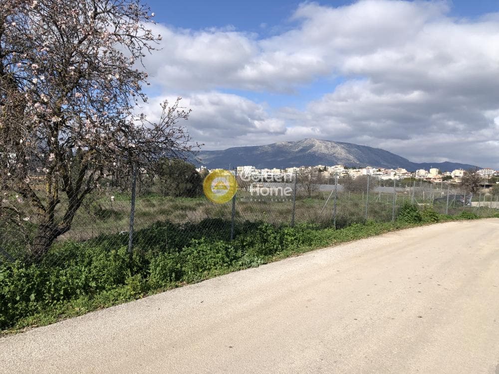 Αγροτεμάχιο στην Λεωφ. Βάρης Κορωπίου, Κορωπί — Φωτογραφία 3 από 4
