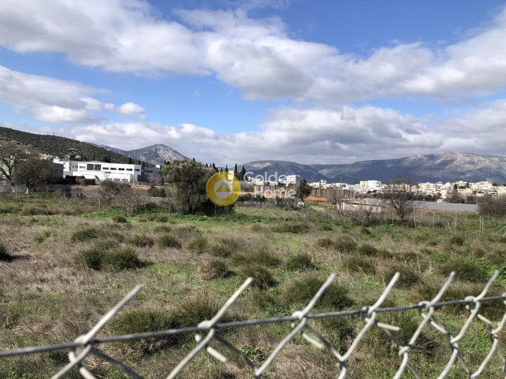 Αγροτεμάχιο στην Λεωφ. Βάρης Κορωπίου, Κορωπί — Φωτογραφία 4 από 4