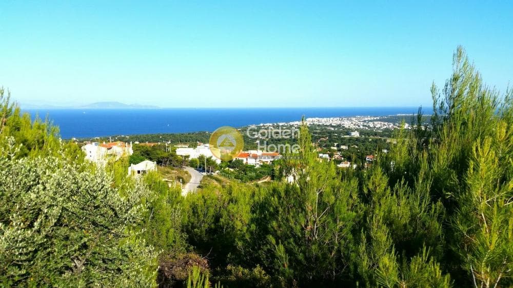 Building Plot in Neos Voutzas, Rafina — Photo 7 of 8