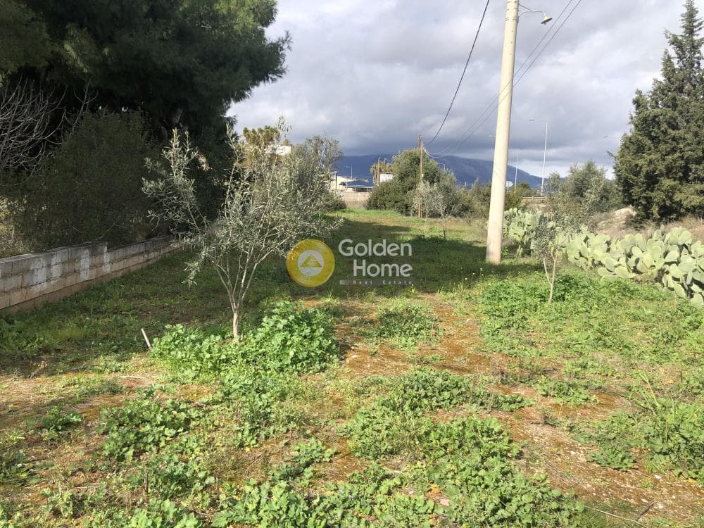Αγροτεμάχιο στην Λεωφ. Βάρης Κορωπίου, Κορωπί — Φωτογραφία 2 από 2