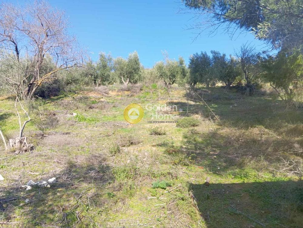 Μονοκατοικία στην Ακραίφνιο, Ακραίφνια — Φωτογραφία 9 από 10