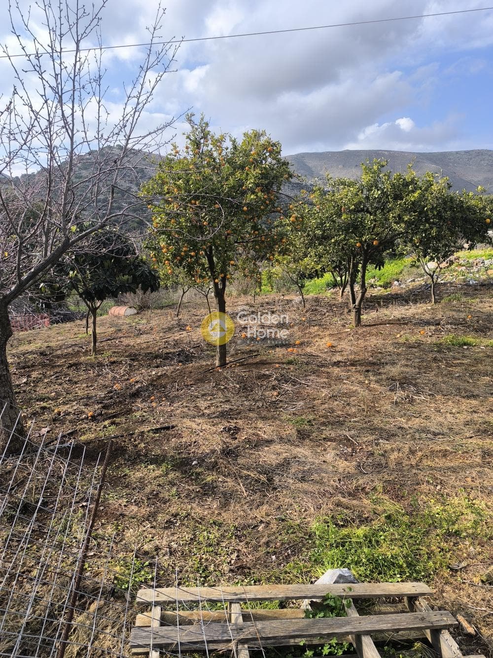 Οικόπεδο στην Άγιος Δημήτριος (τ. Καραμανλή Μετόχι), Ηράκλειο Κρήτης — Φωτογραφία 4 από 4