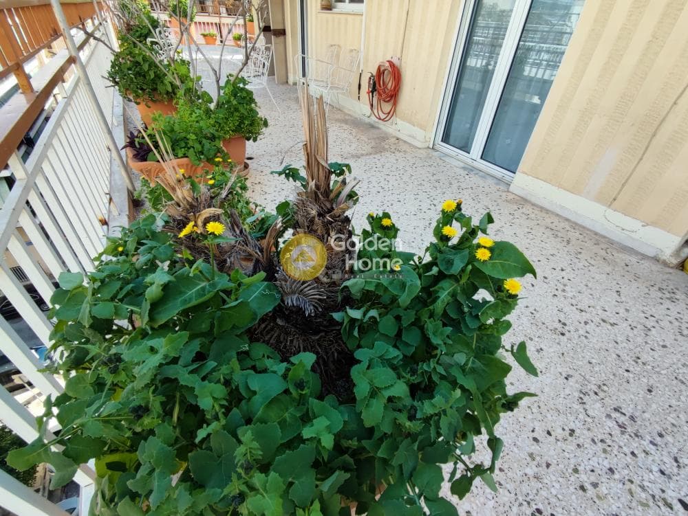 Apartment in Palaia Kokkinia, Piraeus — Photo 40 of 45