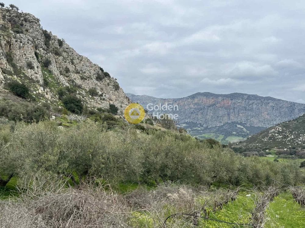 Building Plot in Profitis Ilias, Archanes — Photo 1 of 6
