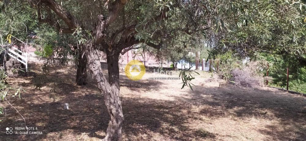 Μονοκατοικία στην Λαφύστι, Λιβαδειά — Φωτογραφία 18 από 26