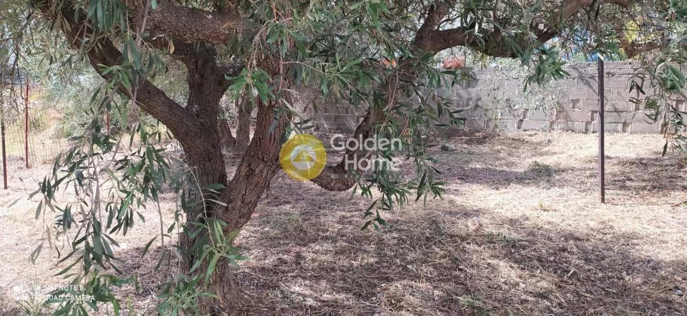 Μονοκατοικία στην Λαφύστι, Λιβαδειά — Φωτογραφία 22 από 26