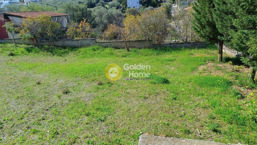 Μονοκατοικία στην Δήλεσι, Οινόφυτα — Φωτογραφία 49 από 51