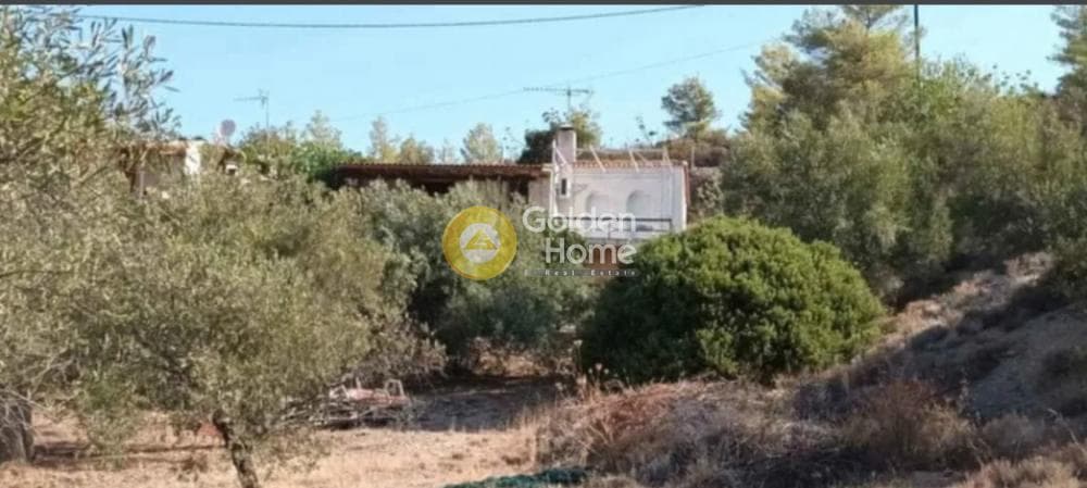 House in Kouteli, Kalavrita — Photo 3 of 5