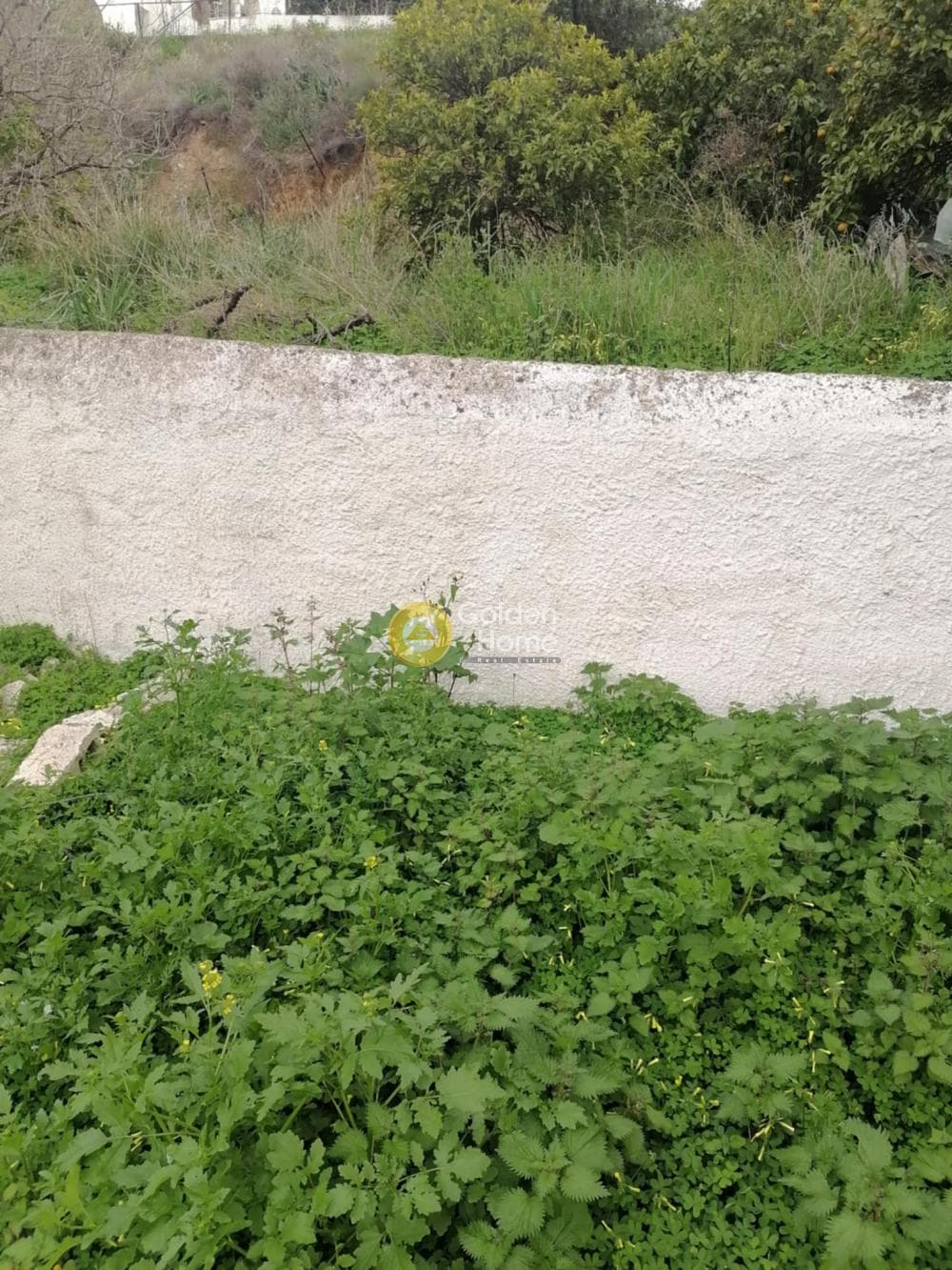 Μονοκατοικία στην Σπιθάρι, Αμπελάκια — Φωτογραφία 9 από 12