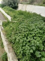 Μονοκατοικία στην Σπιθάρι, Αμπελάκια — Φωτογραφία 11 από 12
