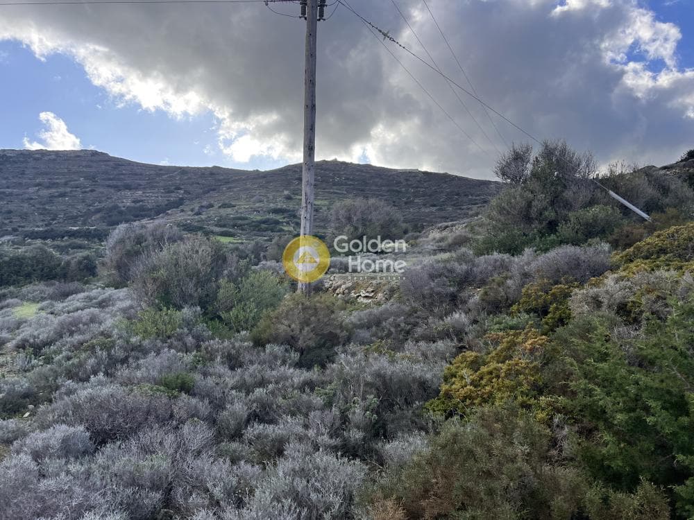 Αγροτεμάχιο στην Κώστος, Πάρος — Φωτογραφία 20 από 25