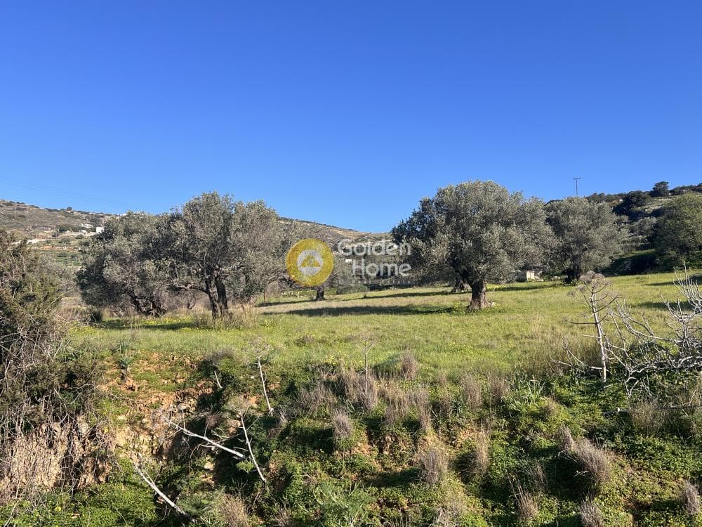 Αγροτεμάχιο στην Κώστος, Πάρος — Φωτογραφία 4 από 17