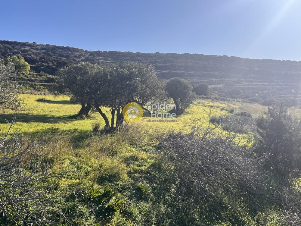 Αγροτεμάχιο στην Κώστος, Πάρος — Φωτογραφία 7 από 17