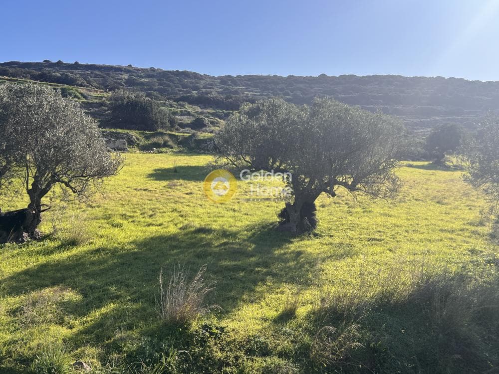 Αγροτεμάχιο στην Κώστος, Πάρος — Φωτογραφία 8 από 17