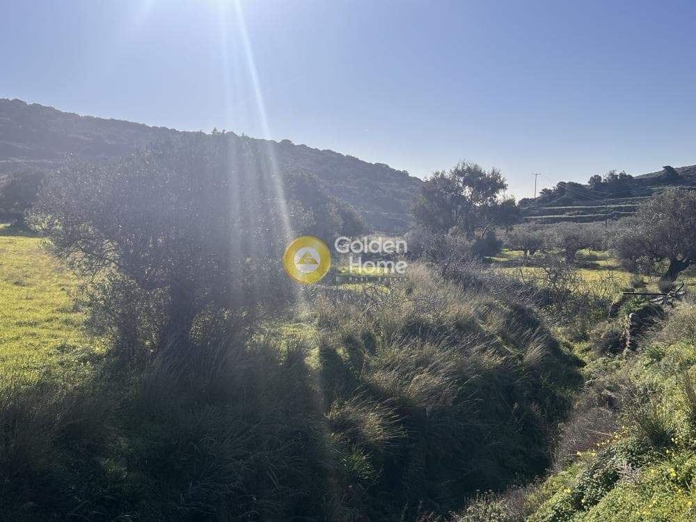 Αγροτεμάχιο στην Κώστος, Πάρος — Φωτογραφία 10 από 17