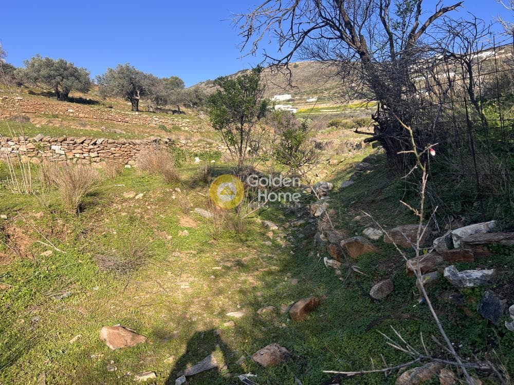 Αγροτεμάχιο στην Κώστος, Πάρος — Φωτογραφία 16 από 17