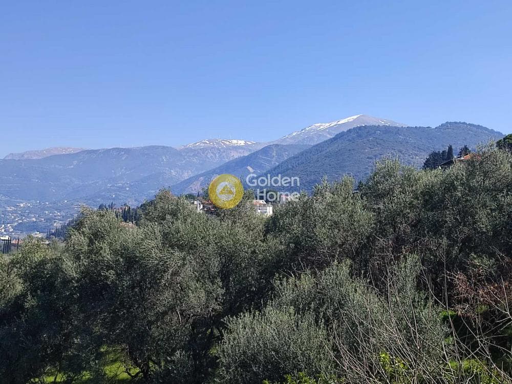 Μονοκατοικία στην Σαραβάλι, Μεσσατίδα — Φωτογραφία 8 από 8