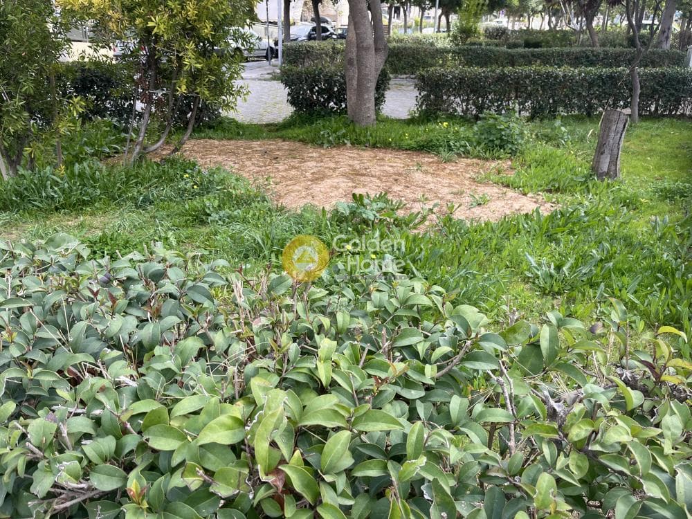 Οικόπεδο στην Νεκροταφείο Καλλιθέας, Άγιος Δημήτριος — Φωτογραφία 2 από 2