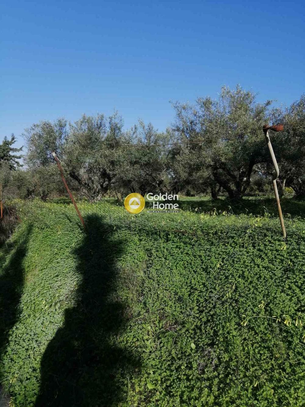 Building Plot in Epano Vatheia, Episkopi — Photo 1 of 4