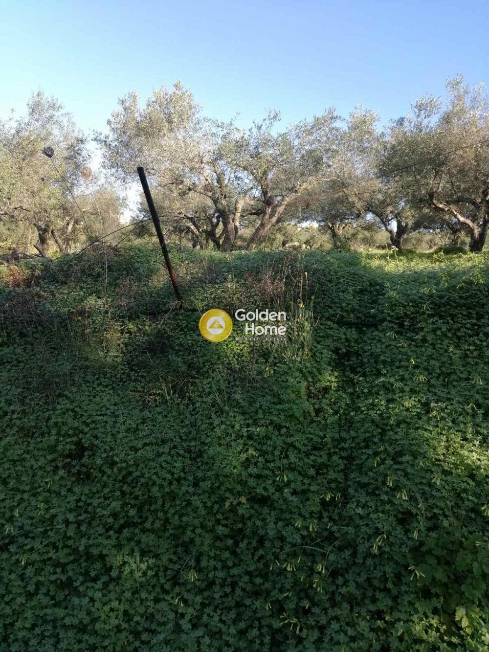 Building Plot in Epano Vatheia, Episkopi — Photo 3 of 4