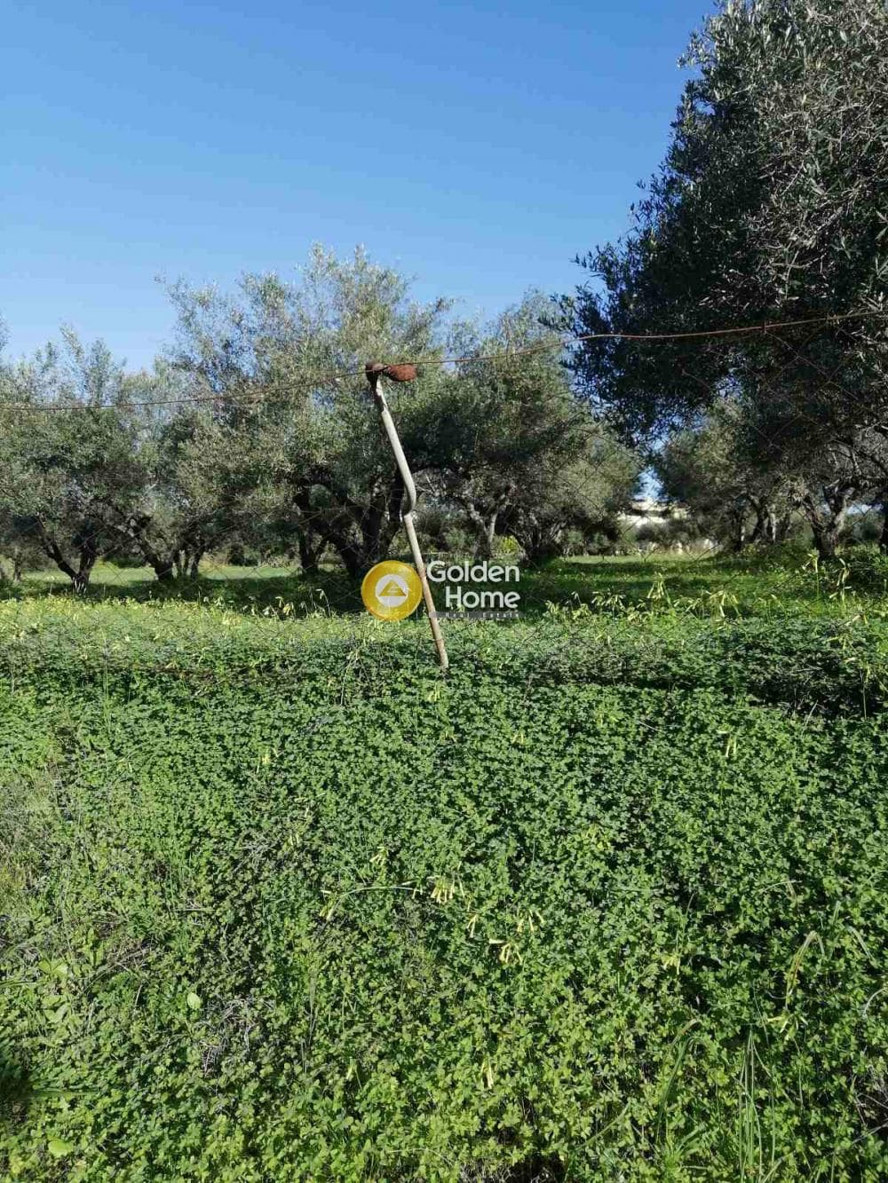 Building Plot in Epano Vatheia, Episkopi — Photo 4 of 4