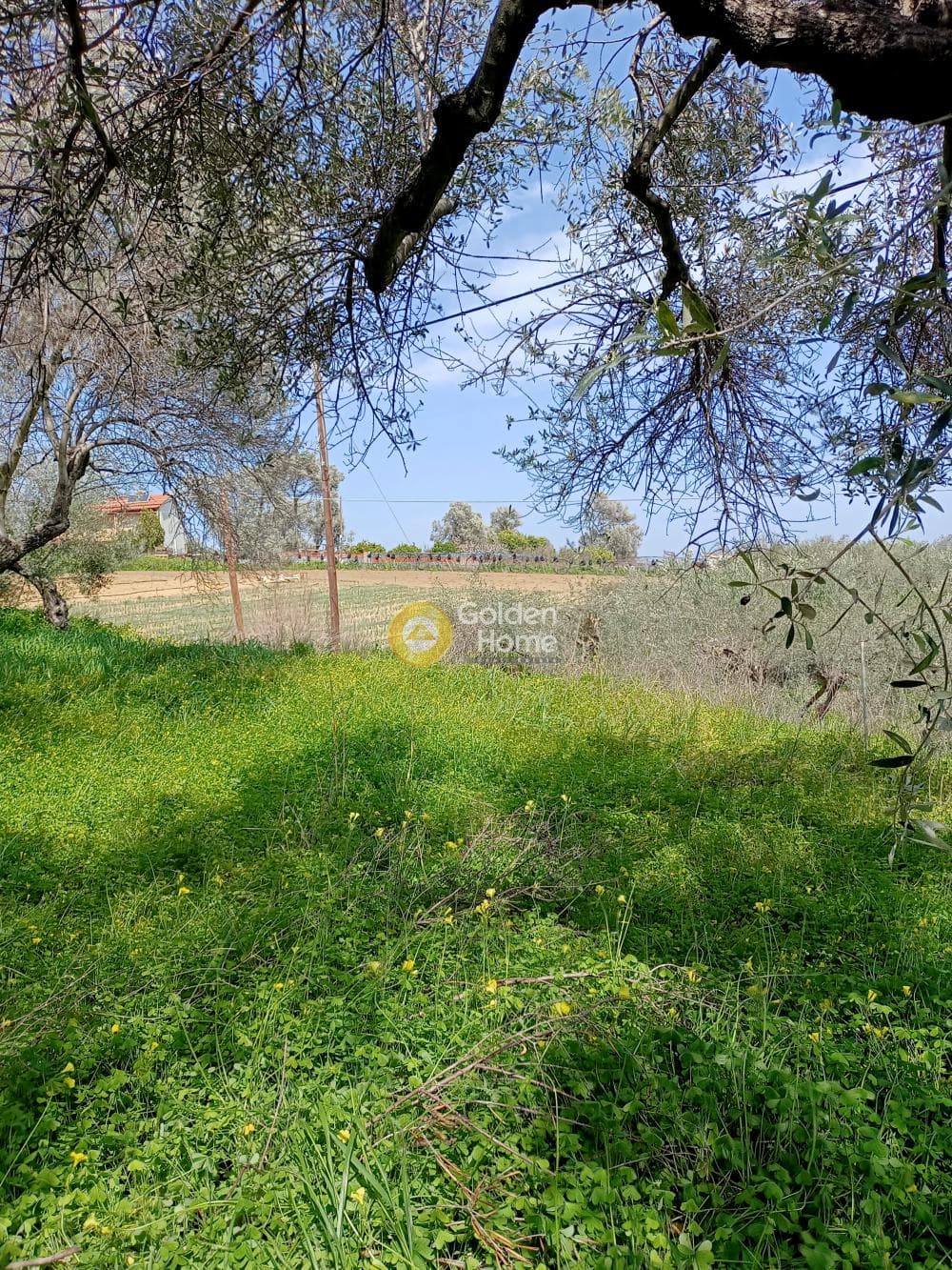 Building Plot in Kavrochori, Gazi — Photo 2 of 4