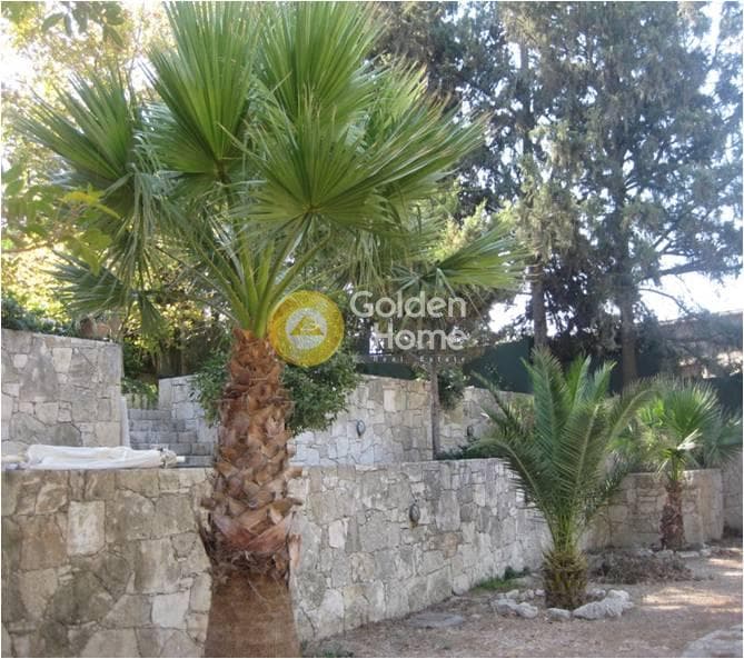 House in Ano Kalesia, Temenos — Photo 8 of 21