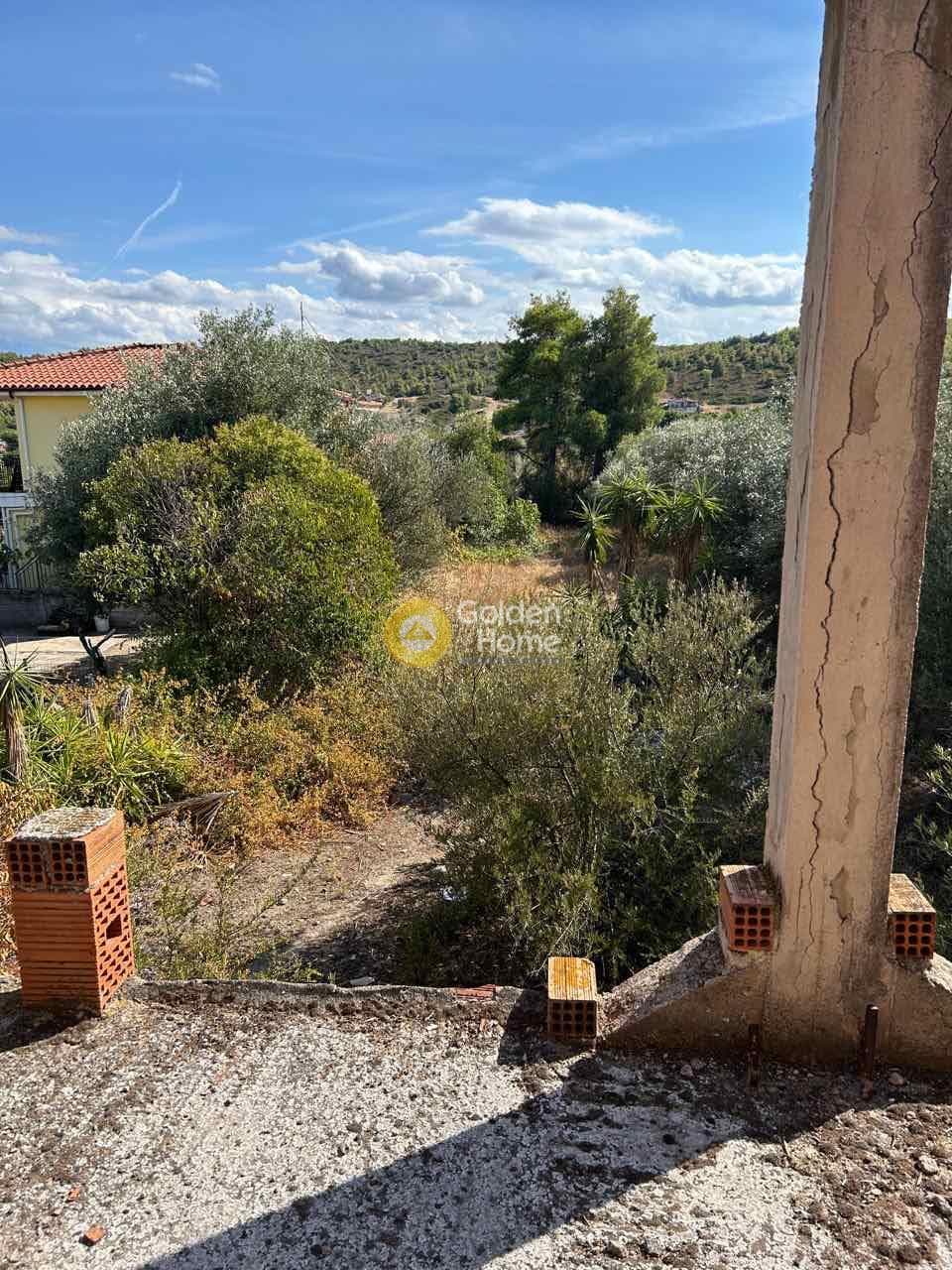 Μονοκατοικία στην Πλάκα Δήλεσι, Οινόφυτα — Φωτογραφία 6 από 23