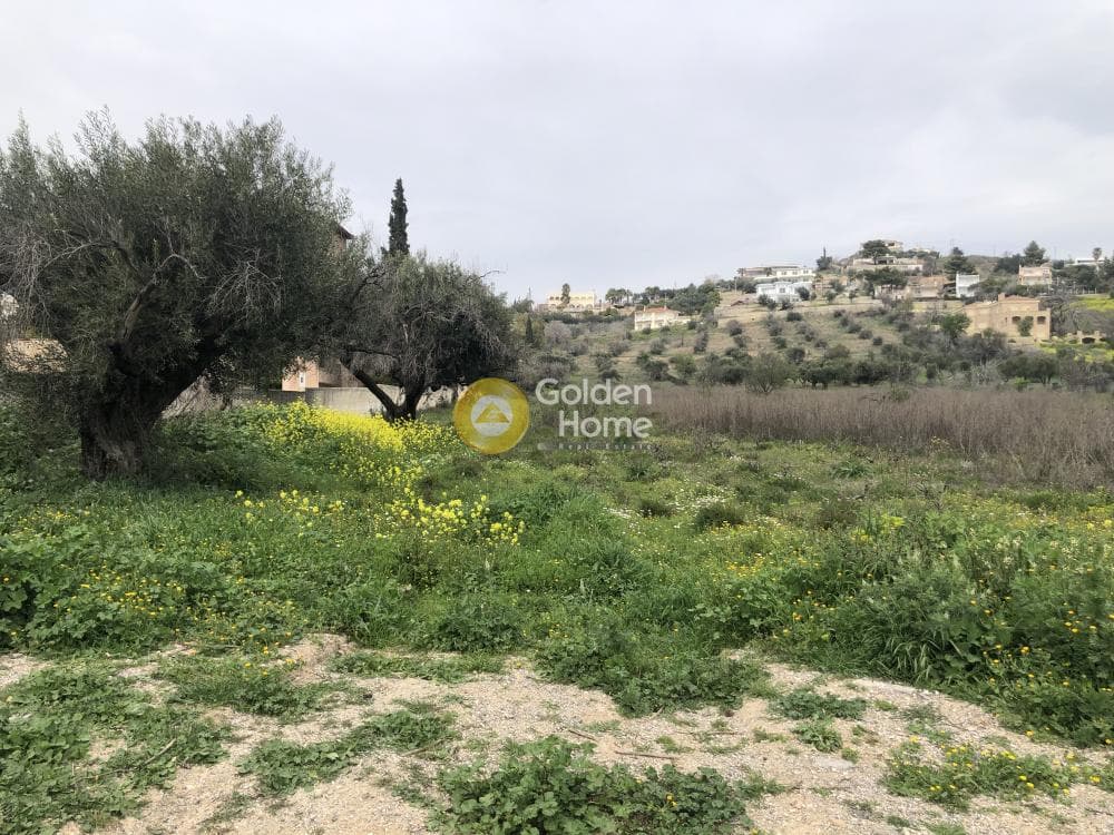 Αγροτεμάχιο στην Καρούζι, Παλλήνη — Φωτογραφία 1 από 2