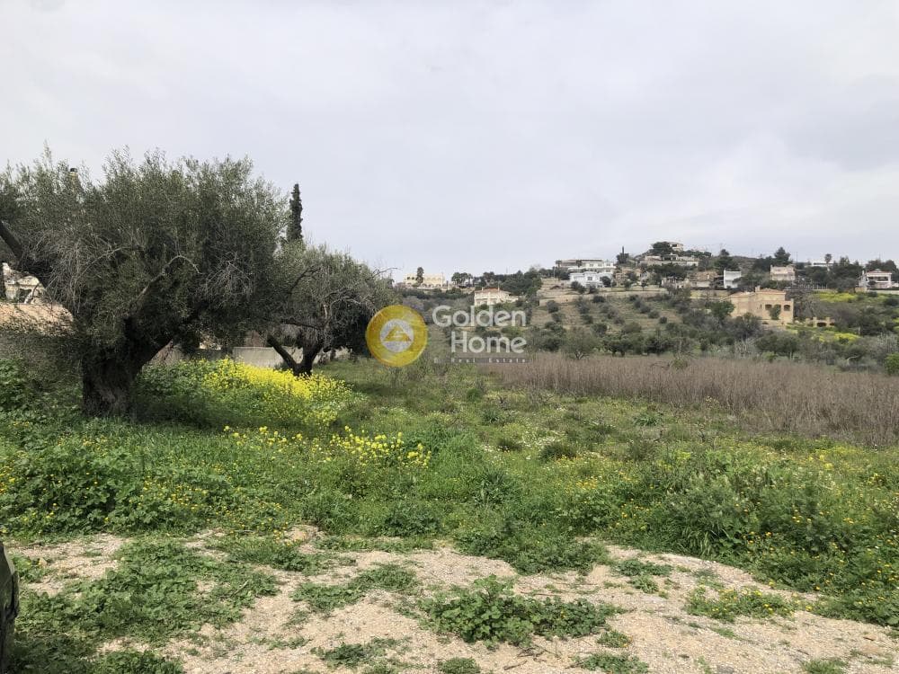Αγροτεμάχιο στην Καρούζι, Παλλήνη — Φωτογραφία 2 από 2