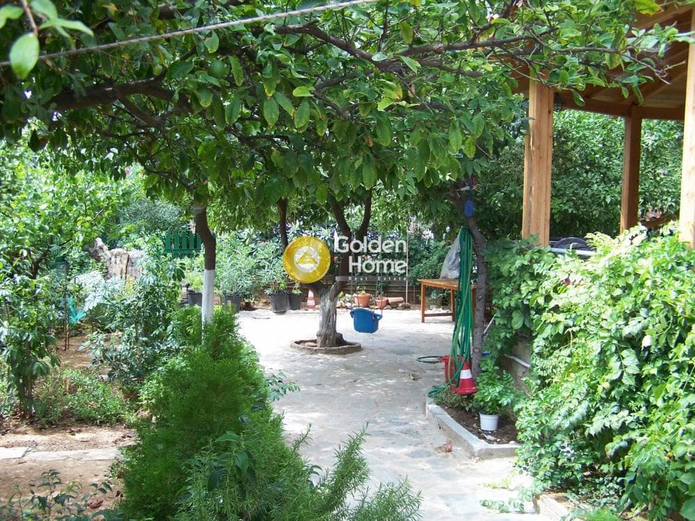 Γραφείο στην Εκτελωνιστών - Εφοριακών, Άλιμος — Φωτογραφία 7 από 12