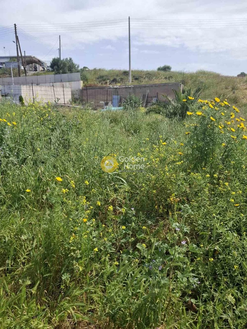 Parcel in Center, Salamina — Photo 3 of 6