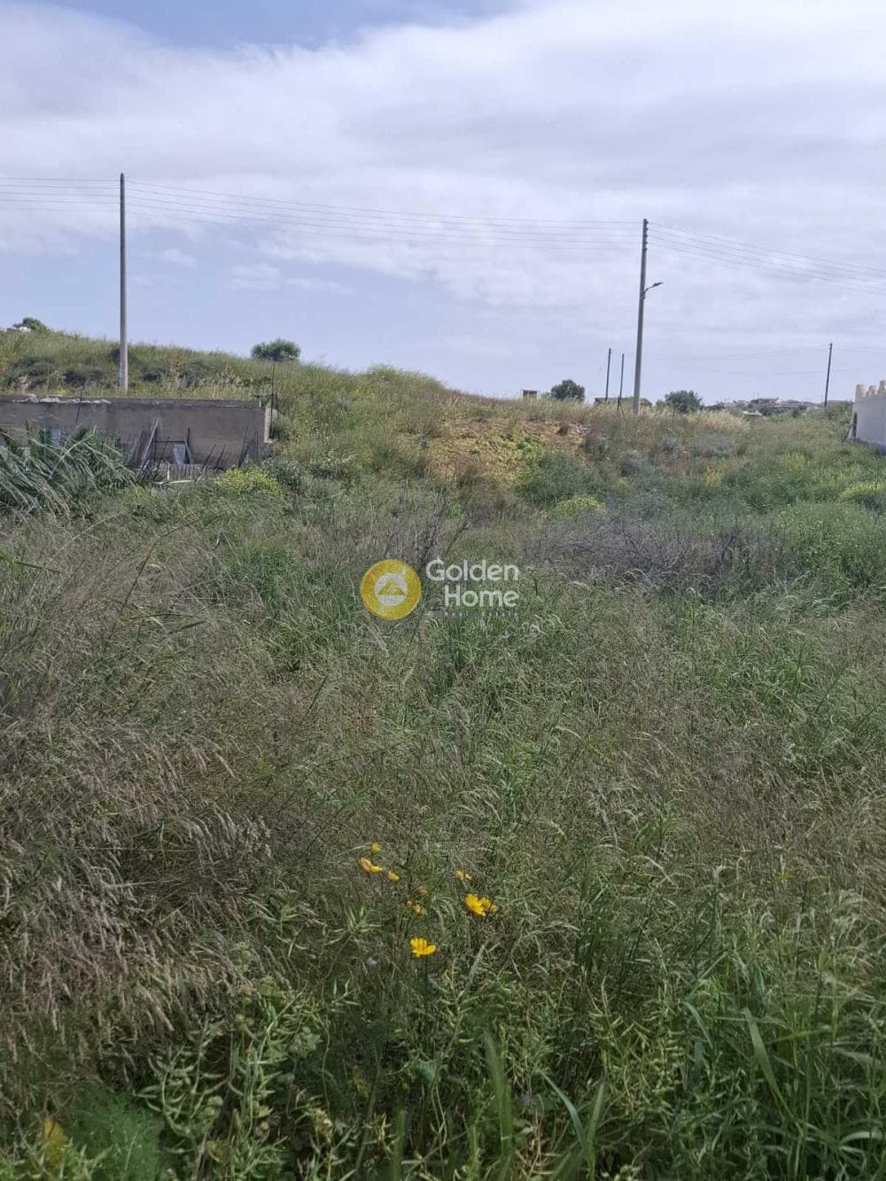 Parcel in Center, Salamina — Photo 6 of 6