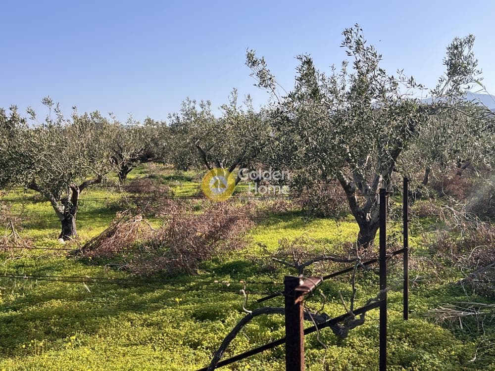 Αγροτεμάχιο στην Κάμπος, Πάρος — Φωτογραφία 5 από 13