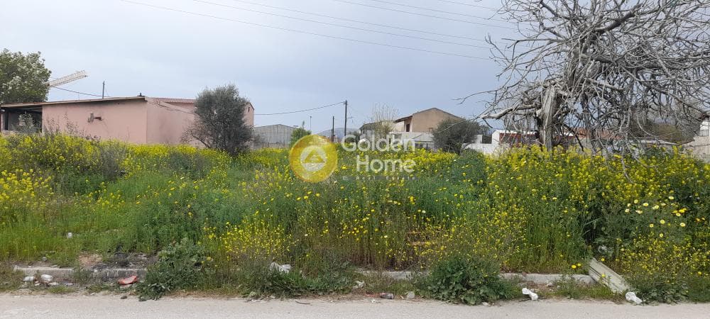 Building Plot in Zofria, Zefiri — Photo 1 of 3