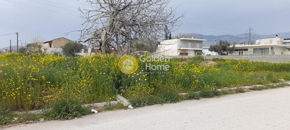 Building Plot in Zofria, Zefiri — Photo 2 of 3