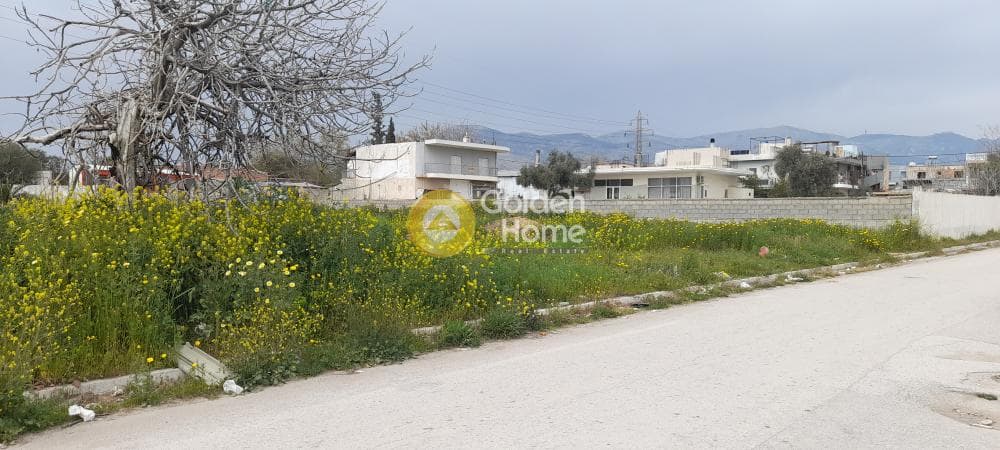 Building Plot in Zofria, Zefiri — Photo 3 of 3