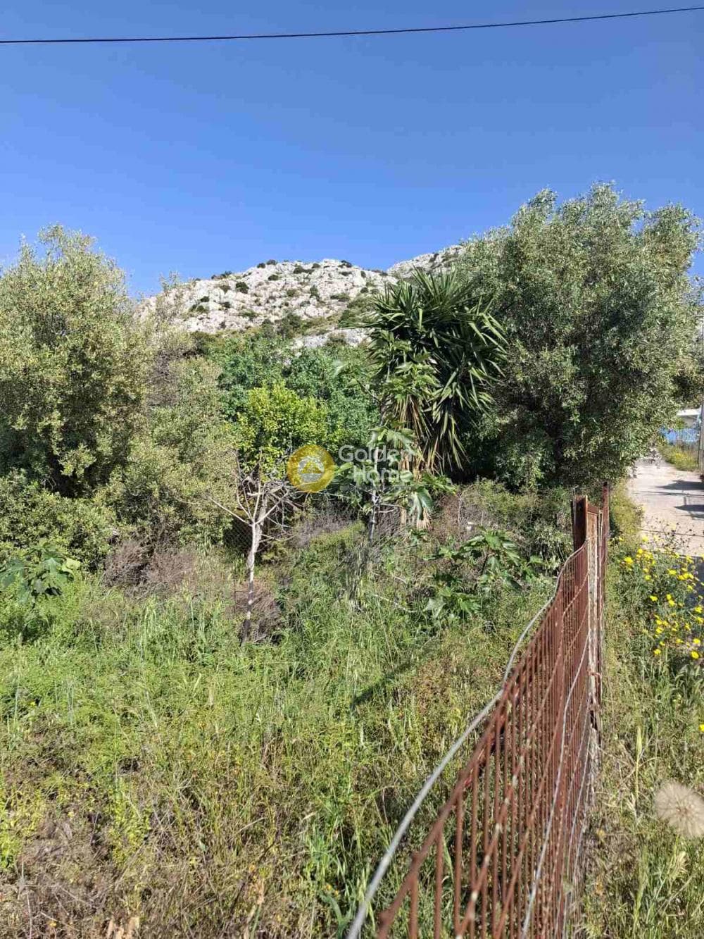Building Plot in Agios Athanasios, Salamina — Photo 2 of 4