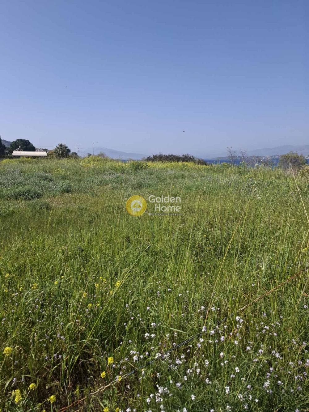 Οικόπεδο στην Αγία Παρασκευή, Σαλαμίνα — Φωτογραφία 1 από 2