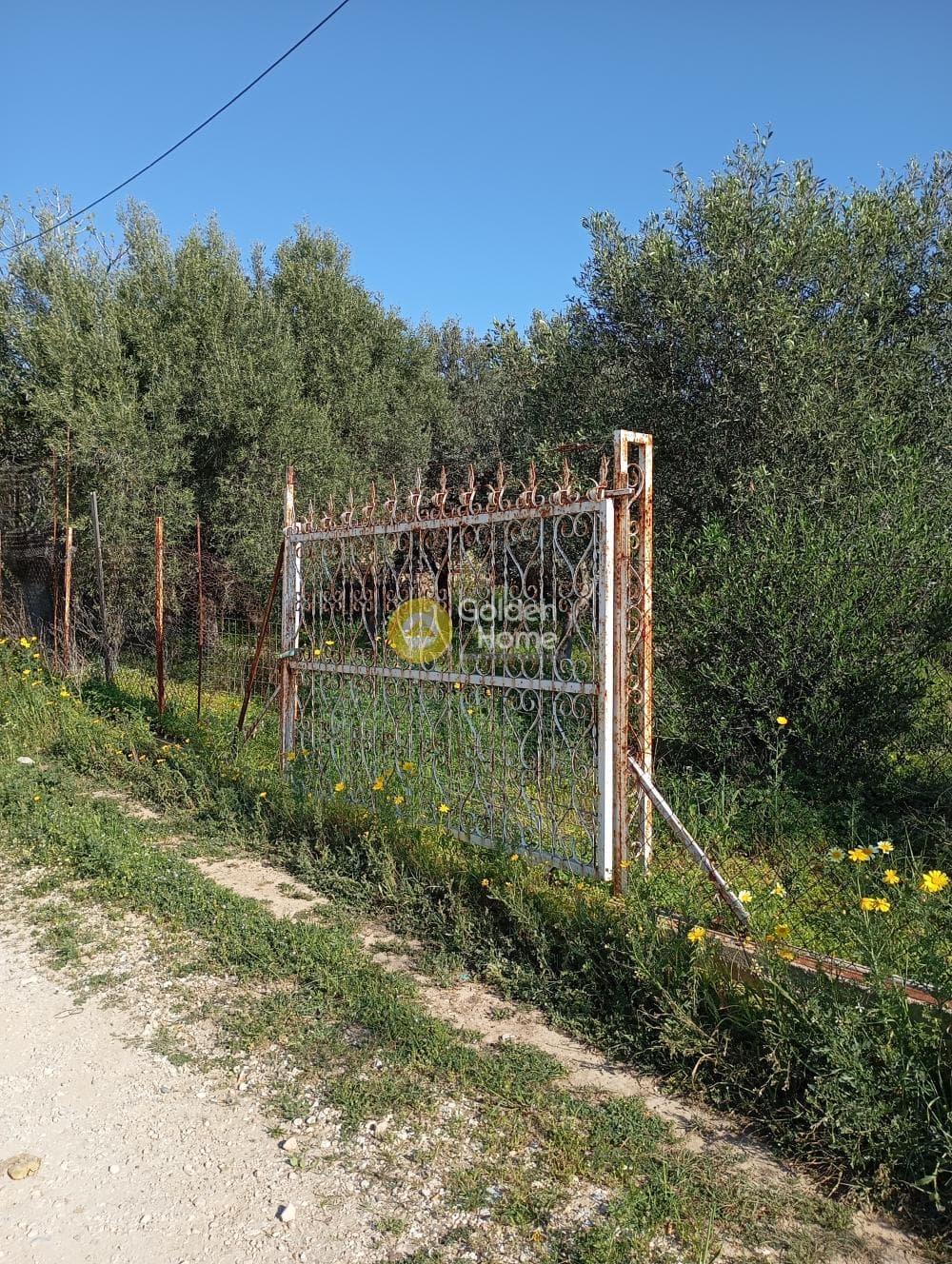 Αγροτεμάχιο στην Άγιος Σεραφείμ, Αρτέμιδα (Λούτσα) — Φωτογραφία 1 από 4