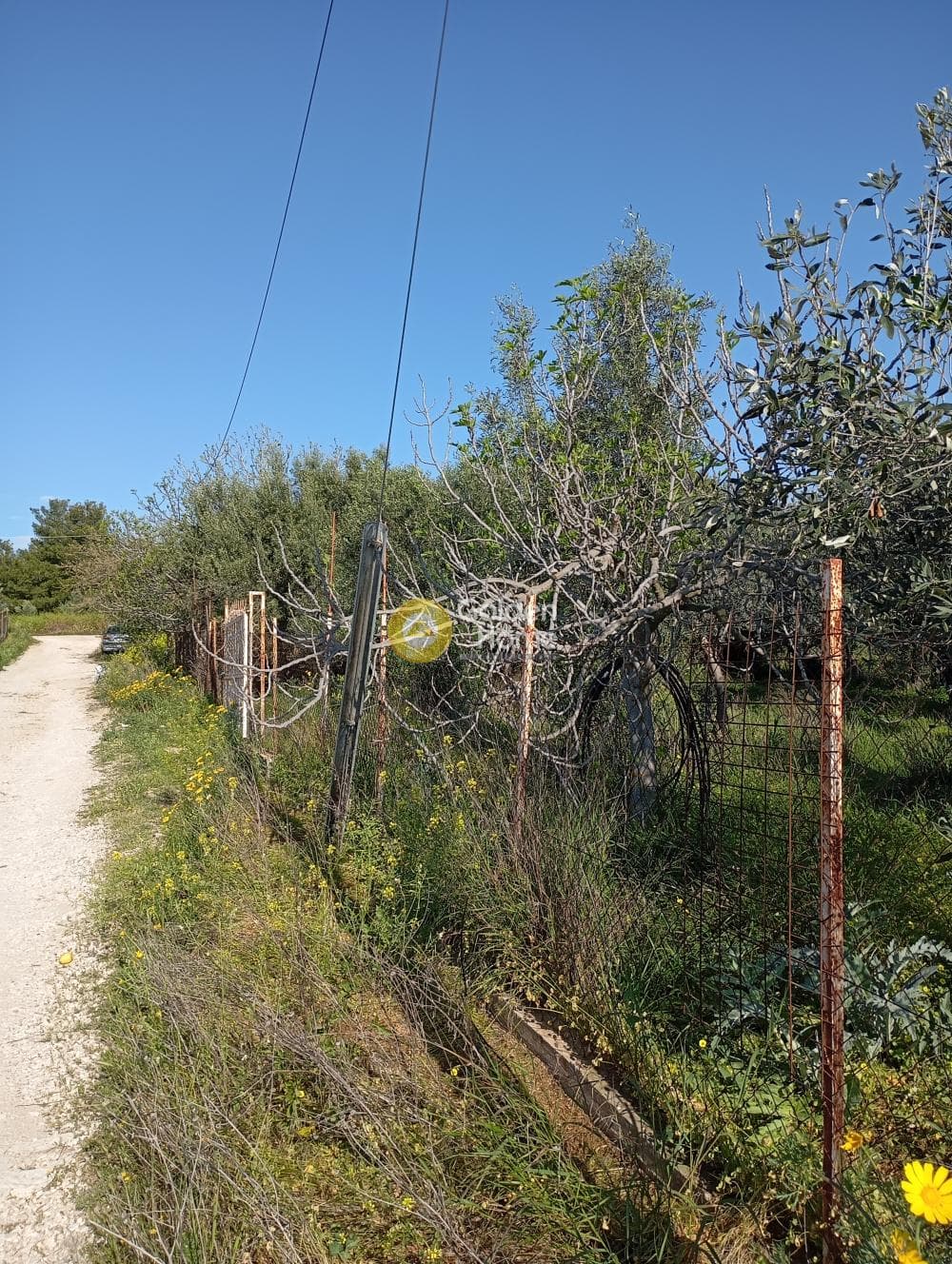 Αγροτεμάχιο στην Άγιος Σεραφείμ, Αρτέμιδα (Λούτσα) — Φωτογραφία 2 από 4