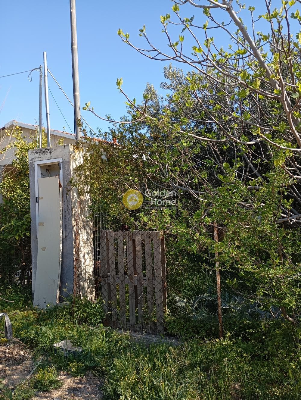 Αγροτεμάχιο στην Άγιος Σεραφείμ, Αρτέμιδα (Λούτσα) — Φωτογραφία 4 από 4
