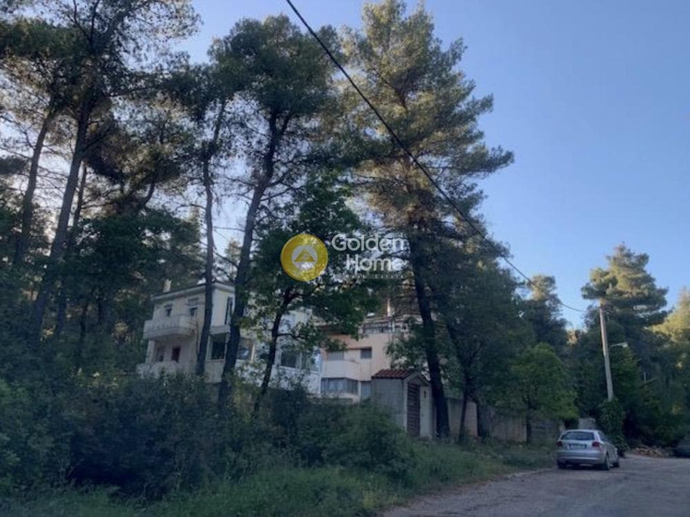 Μονοκατοικία στην Αυγή, Αφίδνες — Φωτογραφία 2 από 4