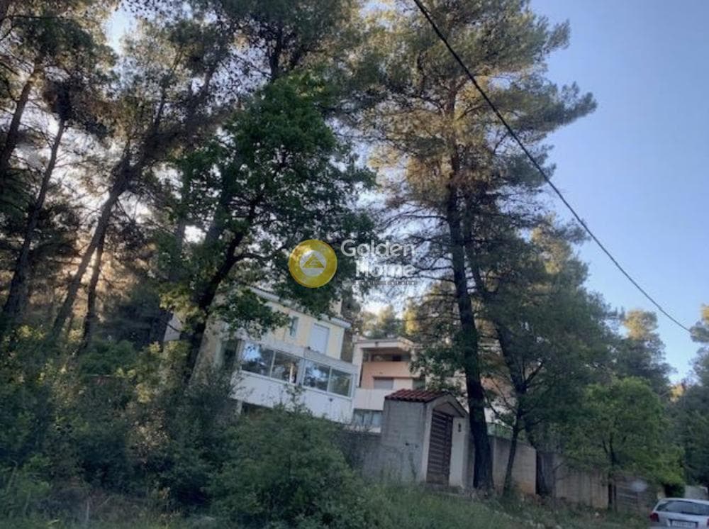 Μονοκατοικία στην Αυγή, Αφίδνες — Φωτογραφία 3 από 4