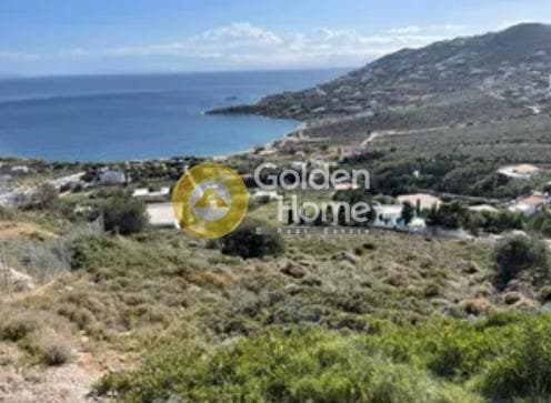 Parcel in Venio Daskaleiou, Keratea — Photo 2 of 2