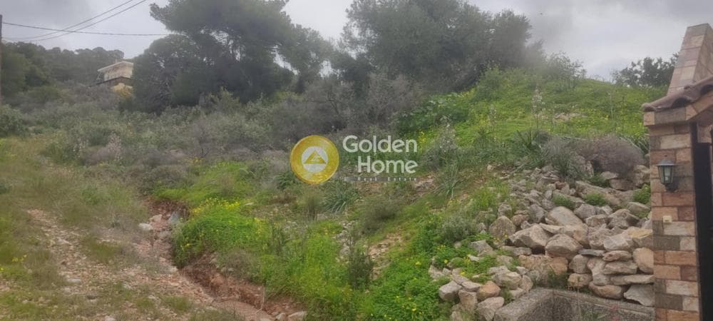 Building Plot in Agios Athanasios, Salamina — Photo 5 of 6