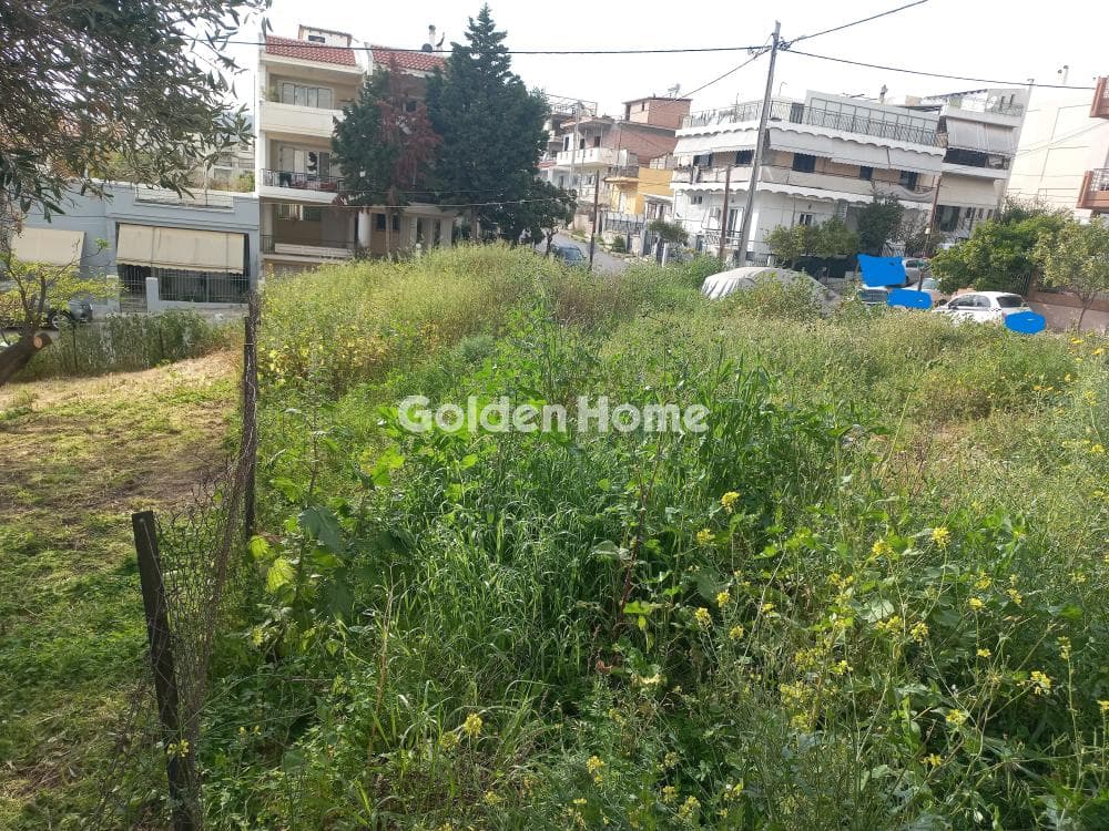 Οικόπεδο στην Γερόβουνο, Καματερό — Φωτογραφία 5 από 8