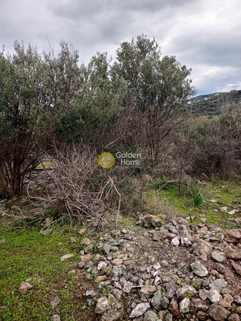 Parcel in Kavrochori, Gazi — Photo 3 of 7